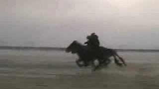 Winter horse race in Mongolia [upl. by Cacilie]