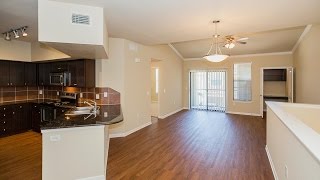 Mansions at Sunset Ridge Apartments in Carrollton TX  mansionsatsunsetridgecom  1BD 1BA For Rent [upl. by Renrew493]