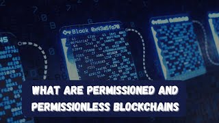 What Are Permissioned and Permissionless Blockchains [upl. by Elohc]