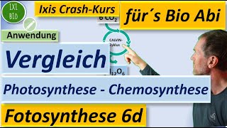 Vergleich Chemosynthese und Photosynthese nach relevanten Kriterien unter Nutzung der Basiskonzepte [upl. by Akienahs]