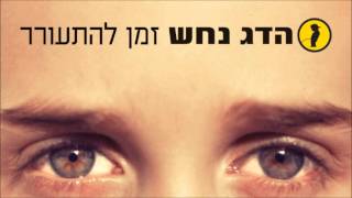 הדג נחש עם יוסי פיין  פזמון  Hadag Nahash with Yossi Fine  Pizmon [upl. by Small]