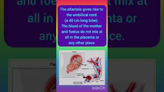 Structure and Function of Placenta embryology Physiology Zoology medicine placenta [upl. by Gibbeon]