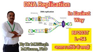 DNA Replication  Conservative Model  Biochemistry  BP203T  L54 [upl. by Kirbie]