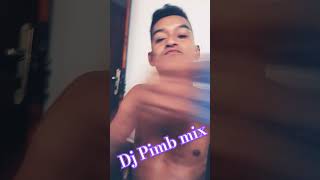 DJ pimba mix 2024 [upl. by Isbel]