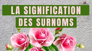 SURNOM DAMOUR MIGNON ET LEUR SIGNIFICATION [upl. by Bea467]