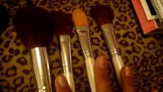 My Makeup BrushesCollection [upl. by Alleiram785]