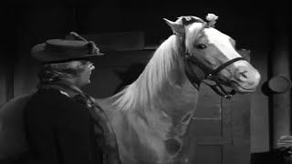 Mister Ed Season 1 Episode 6 1961 Sorority House [upl. by Ashby518]