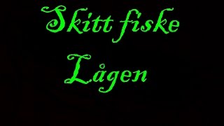 Skitt fiske Lågen [upl. by Celine]