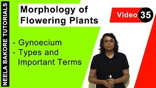 Morphology of Flowering Plants  NEET  Gynoecium  Types and Important Terms  Neela Bakore [upl. by Lytle]