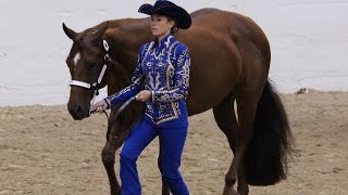 2011 AQHA MARE SHOWMANSHIP [upl. by Eibur]