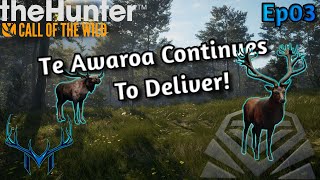 Fresh Start Ep3  theHunter Call of the Wild [upl. by Kcirdorb471]