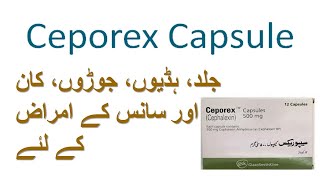 ceporex capsule 500mg uses  ceporex  cephalexin [upl. by Euqirrne137]