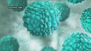 Norovirus cases on the rise How to protect yourself [upl. by Woothen759]