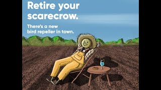 Ecovelex™ Bird Repeller Retire Your Scarecrow [upl. by Akienahs271]