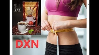 Simple way to loss your weight with Dxn Lingzhi Black Coffee [upl. by Neelrahc14]