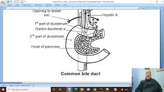 Anatomy GIT Module in Arabic 32  Extrahepatic BIlliary Passage   by Dr Wahdan [upl. by Uzial939]