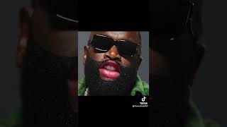 Rick Ross  CHAMPAIN MOMENTS Parody 😂 [upl. by Yekcir526]