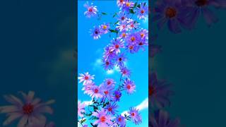 Stunning Flower Gardens A Journey Through Natures Most Beautiful Blooms  shorts [upl. by Pucida311]