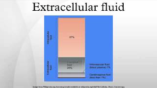 Extracellular fluid [upl. by Charla412]