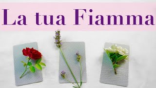 PERCORSI DI FIAMMA TAROCCHI INTERATTIVI PRIMO QUARTO  FIAMME GEMELLE [upl. by Ahsocin]