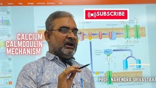 Mechanism of Hormone Action ll Calcium Calmodulin Mechanism [upl. by Akcemat]