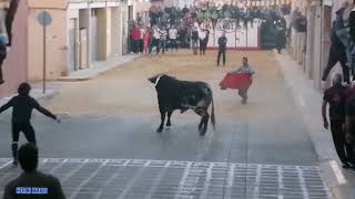 Tarde de toros en Benavites con un pequeño susto 18112023 [upl. by Teevens]