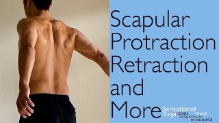 Exercises for Improving Scapular Protraction Retraction and More [upl. by Ma]