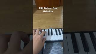 Pilli Bebek  Bak nasıl çalınır melodika [upl. by Kcirdor881]