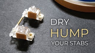 Dry HUMP Stabilizers Mod Tutorial  Silence Your Stabs with PTFE Tape [upl. by Leirbma140]