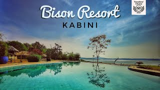 Bison Kabini  Kabini Resort  Kabinis Best Luxury Resort [upl. by Cosenza436]