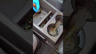 Cleaning FILTHY Center Console 🚘💕 ASMR Satisfying Detailing CarCleaning DetailDane [upl. by Carbo]