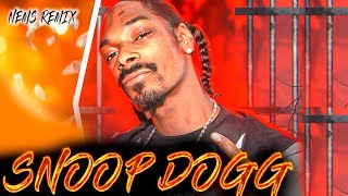 Snoop Dogg  Gin And Juice 2023 Nems Remix [upl. by Dlonyar601]