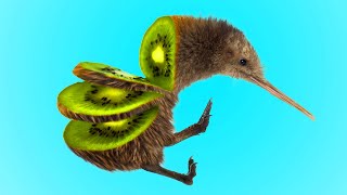 Kiwi inside a kiwi Animation [upl. by Yanehs]