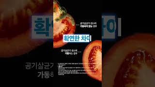 세스코 공기 살균기 토마토 실험 영상  일상 속 공기 살균이 필요한 이유 세스코 공기살균기 센스미 폐렴균 독감 코로나 살균 모션인식 바이러스 선제공격 [upl. by Mamoun465]