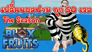 BloxFruits TheSeason สุ่มผลฟามตั้งแต่เวล 1 เปลี่ยนทุก 50 เวล Ep13 [upl. by Kristie]