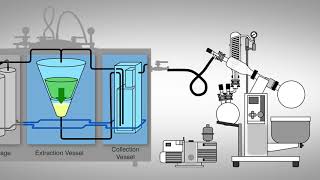 Ethanol Extraction Process  Capna Fabrication [upl. by Celinda]