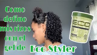 COMO DEFINO MIS RIZOS CON EL GEL “ECO STYLER” eliifresaa1 [upl. by Irv380]