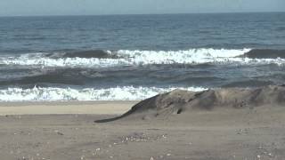 Jacob Riis Park beach [upl. by Anibla519]