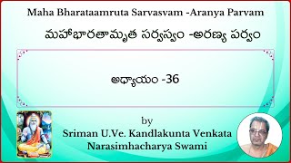 MahaBharatam Aranya Parvam Ch35 by Kandlakunta Venkata Narasimhacharya swami [upl. by Zoara]