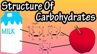 Structure Of Carbohydrates  What Are Carbohydrates Made Of Structure Of Glucose Fructose Galactose [upl. by Schiffman]