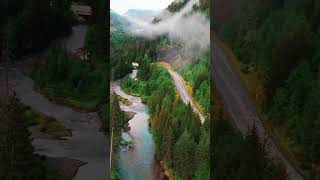 Wir fahren in Kanadas Bärengebiet 🐻🇨🇦 naturensöhne [upl. by Doggett]