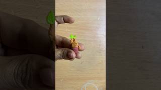 Mandrake plant from Harry Potter with polymer clay diy [upl. by Shriver]