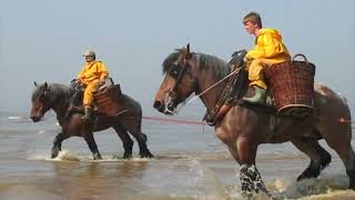 Paardenvissers en Estaminet 2011 [upl. by Aihseken]