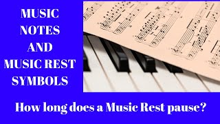 Music Notes C D E F G Piano Tutorial for Beginners pdf [upl. by Ednihek739]