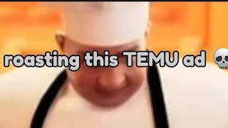 Roasting the TEMU ad 💀 [upl. by Haret880]