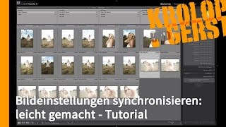 Bildeinstellungen synchronisieren leicht gemacht  Tutorial 💻 PHOTOSHOP LIGHTROOM 💻 KrolopampGerst [upl. by Amikehs531]