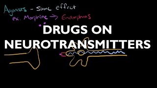 The Influence of Drugs on Neurotransmitters  AP Psychology [upl. by Leraj770]