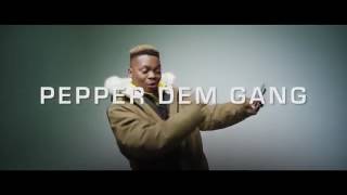 Olamide ft Davolee  Pepper Dem Gang  official video [upl. by Harbed416]