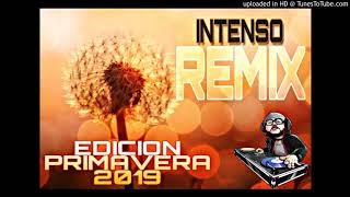 CARIÑITO INFIEL  Primavera 2019  Intenso Remix Dj Chicho  LOS MIRLOS [upl. by Farand]