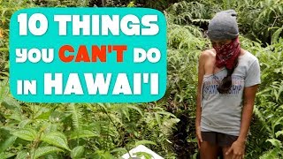 What it’s REALLY like living in Puna on the Big Island of Hawaii Funny but True [upl. by Brenk994]